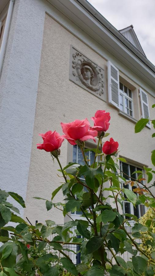 Lilienmatt Apartments Baden-Baden Exterior photo